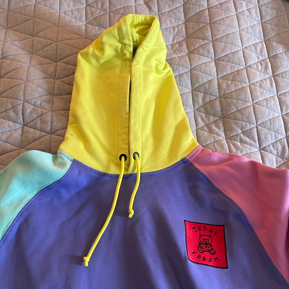 Teddy Fresh heavyweight color block hoodie